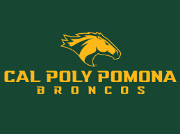 Computer Information Security